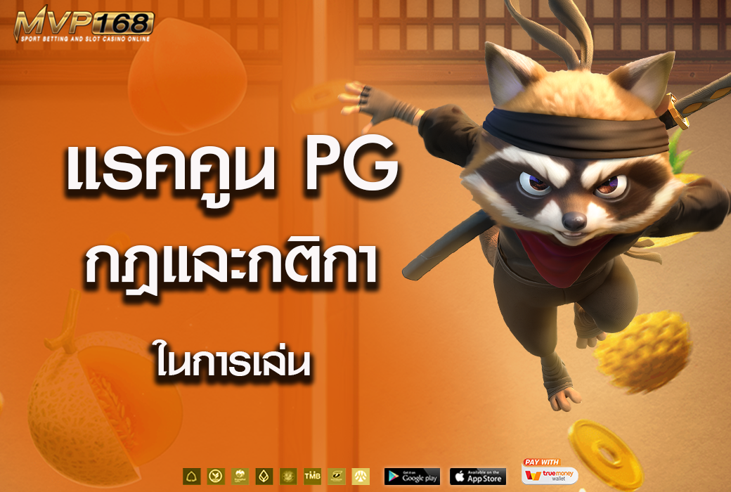 แรคคูน pg  1
