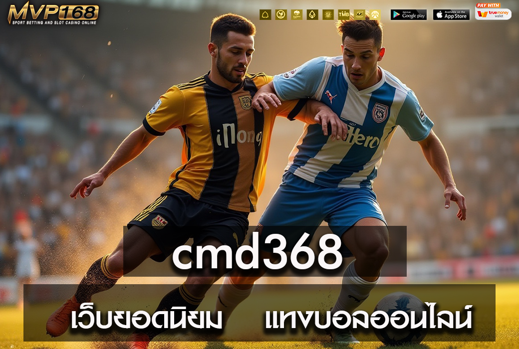 cmd368